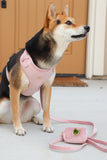 blush pink velvet adjustable harness