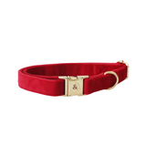 winterberry red velvet collar