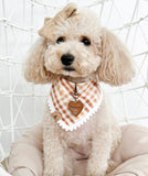 caramel gingham letterman dog bandana