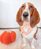 caramel gingham letterman dog bandana