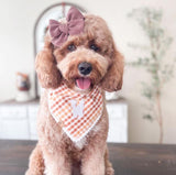 caramel gingham letterman dog bandana