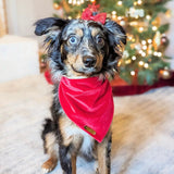 winterberry red velvet dog bandana