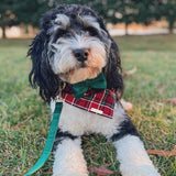 cardinal plaid dog bandana