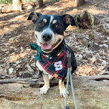 blitzen's plaid letterman dog bandana