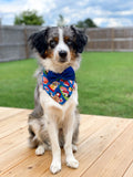 sushi me rollin' dog bandana