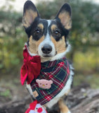 blitzen's plaid dog bandana