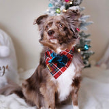 cardinal plaid dog bandana