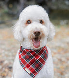 cardinal plaid dog bandana