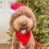 winterberry red velvet dog bandana