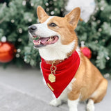 winterberry red velvet dog bandana