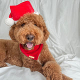 winterberry red velvet dog bandana