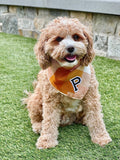 caramel pop letterman dog bandana