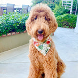 tropical hibiscus dog bandana