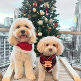 cardinal plaid dog bandana