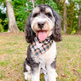 warm timberline flannel letterman dog bandana