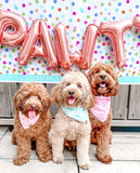 blue barkday dog bandana