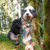 caramel apple flannel dog bandana