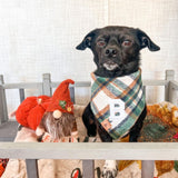 caramel apple flannel letterman dog bandana