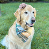 caramel apple flannel dog bandana