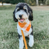 caramel pop flannel dog bandana