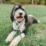 caramel apple flannel dog bandana