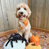 caramel pop letterman dog bandana