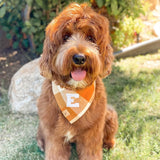 caramel pop letterman dog bandana