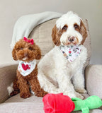 will you accept this rose dog bandana