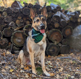 vixen's plaid dog bandana